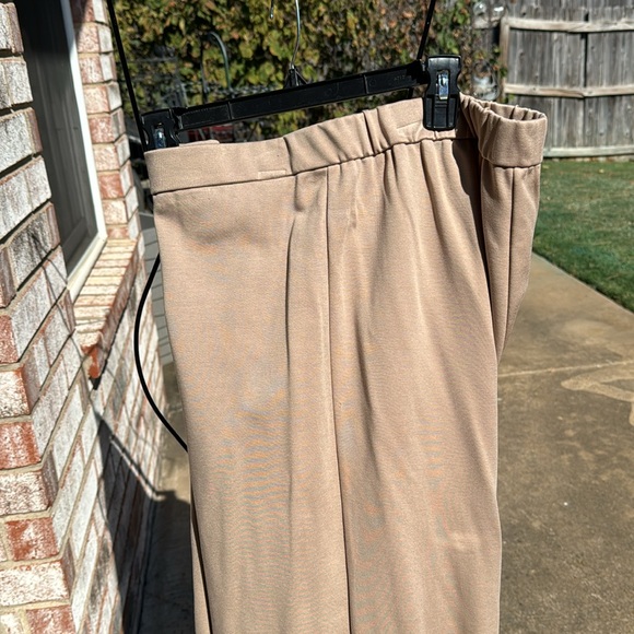 NWT Eileen Fisher Bramble Tan Straight Pants Zip Front XL - Picture 6 of 8